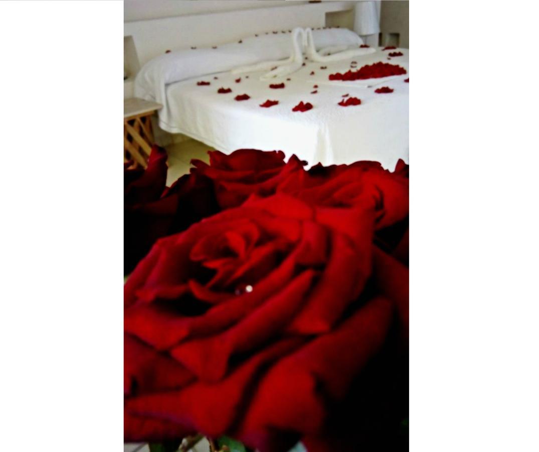 Il Piccolo Peccato (Adults Only) Hotel Cuernavaca Buitenkant foto
